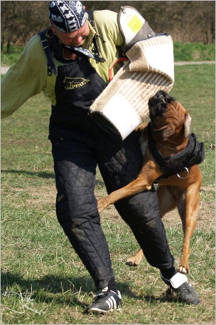 Training in Prague - 2. 4. 2008